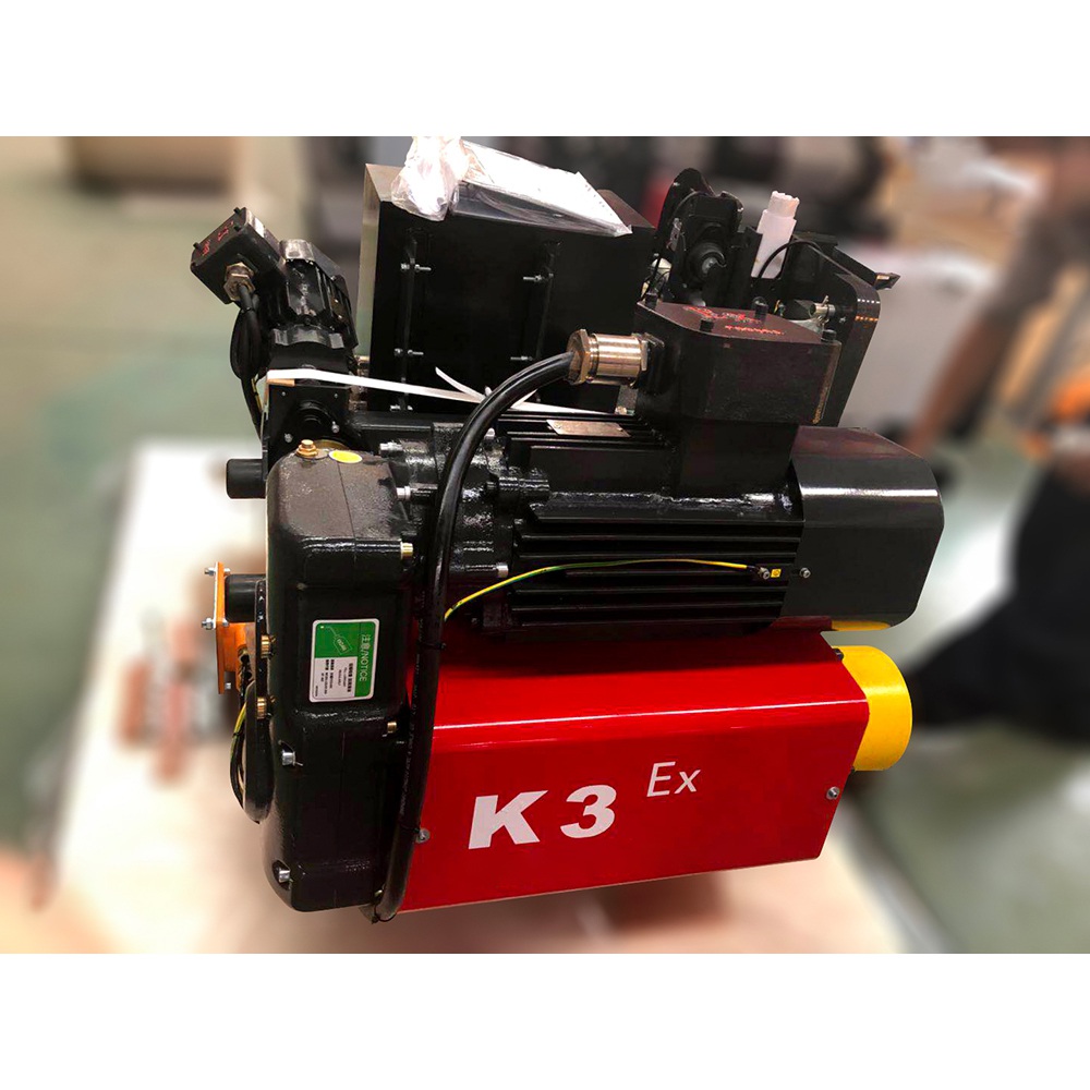 electric hoist
